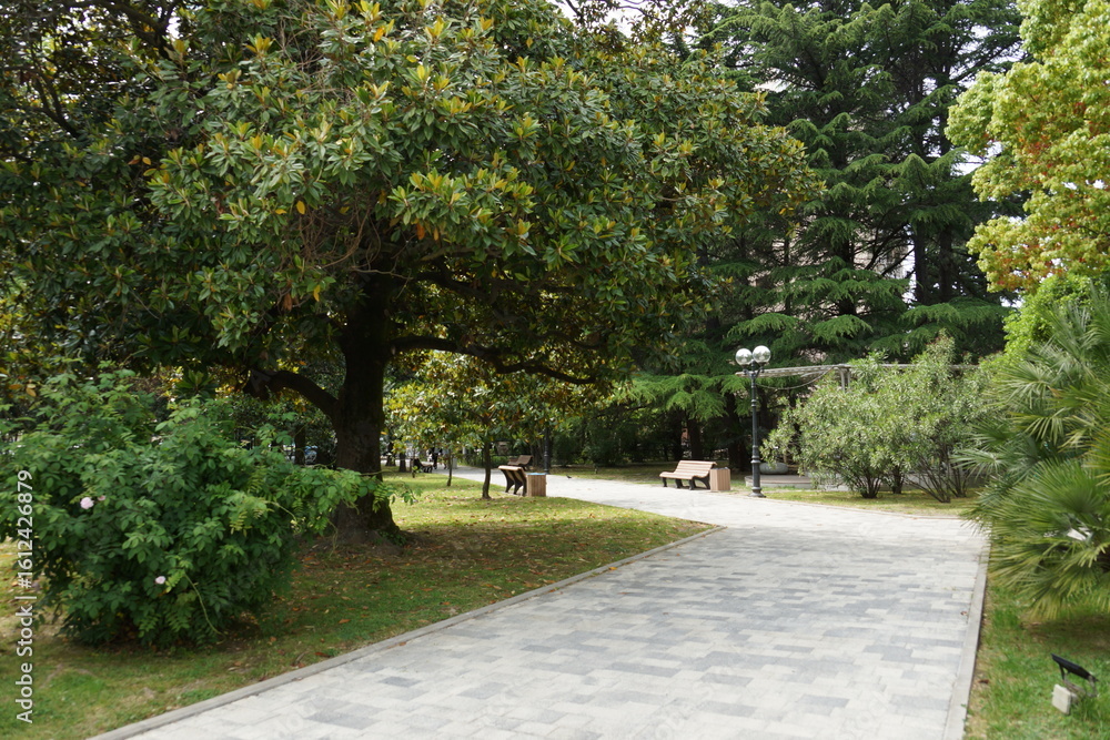 Obraz premium walk in the park