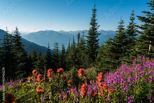 Mt Stern, Grande Cache