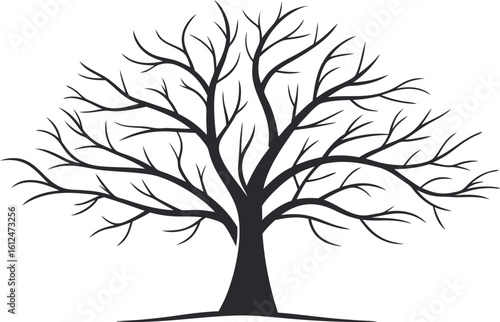 Black silhouette of a bare tree with spreading branches