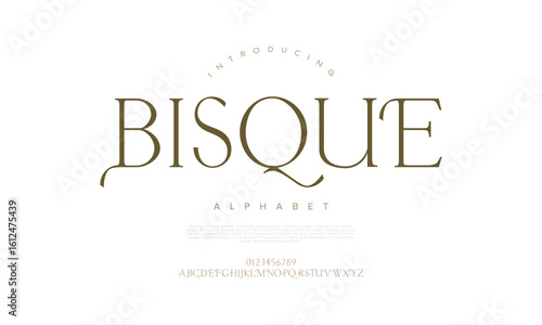Luxurious serif font with stylish curves and timeless elegance. Perfect for branding and editorial