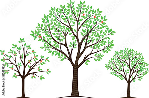 Three stylized trees with green leaves and red fruit