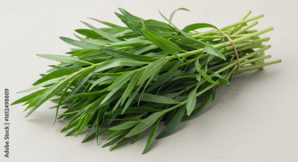 Fresh Tarragon Bunch Fresh Tarragon Bunch