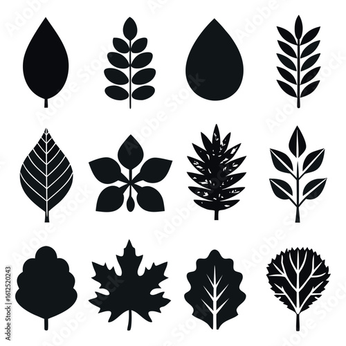 Collection of twelve diverse black leaf silhouettes representing various plant species and natural shapes on a white background