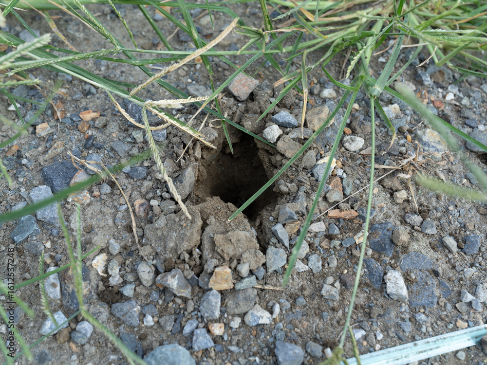 Obraz premium スウェーデン式サウンディング試験住宅地盤調査