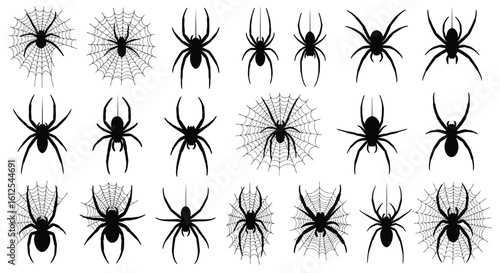 Spooky Spider Silhouettes for Halloween and Creepy Crawly Designs Vector Illustration