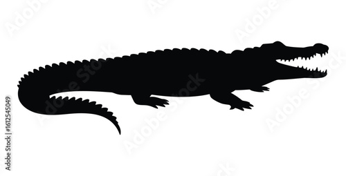 Aggressive Alligator Silhouette with Open Jaws - Reptile Danger
