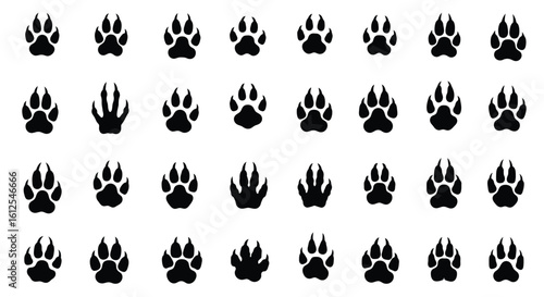 Seamless Pattern of Black Animal Paw Prints with a Unique Raccoon Paw Featuring Sharp Claws on a White Background