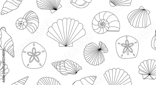A Collection of Vintage Botanical Illustrations Depicting Various Seashells and Marine Life Forms
