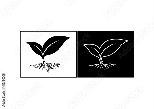 Elegance of Botanical Line Art: A stylized botanical illustration, offering a study in contrasts and simplicity. Showcasing the beauty of a plant, its leaves, roots, and the core of life. 