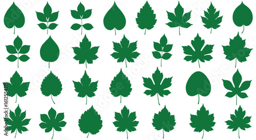 Collection of Diverse Green Leaf Silhouettes on White Background Represents Botanical Variety and Natural Elements for Design Projects