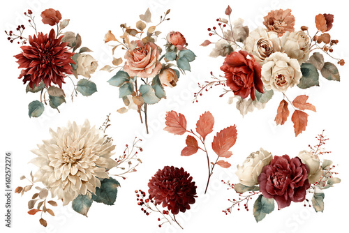 Watercolor Peach Cream Burgundy Roses and Dahlias Flower Collection, PNG