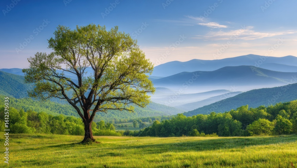 Verdant landscape featuring a tree on a grassy hill, distant misty mountains, and a blue sky with wispy clouds Verdant landscape featuring a tree on a grassy hill, distant misty mountains, and a blue sky with wispy clouds