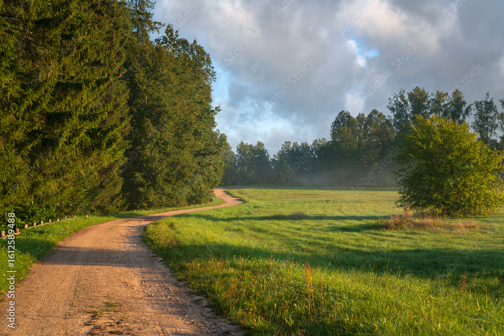 Fototapeta premium The country road to the Mikhailovskoye estate along the Festive glade on the territory of the Pushkin Museum-Reserve on a foggy summer morning, Pushkinskiye Gory, Pskov region, Russia