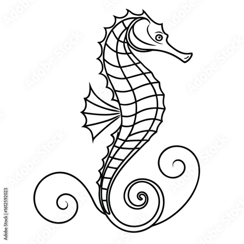 Elegant seahorse line art vector illustration with decorative curls for tattoo design and sea life inspired graphic projects