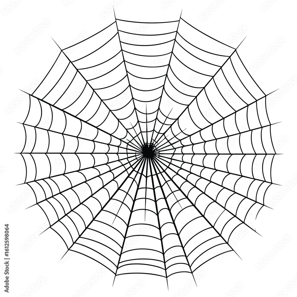 Fototapeta premium Vector art of a detailed spiderweb pattern isolated on a white background