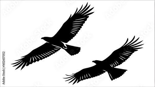 Two Birds Soaring Together Against a Clear Blue Sky in Nature
