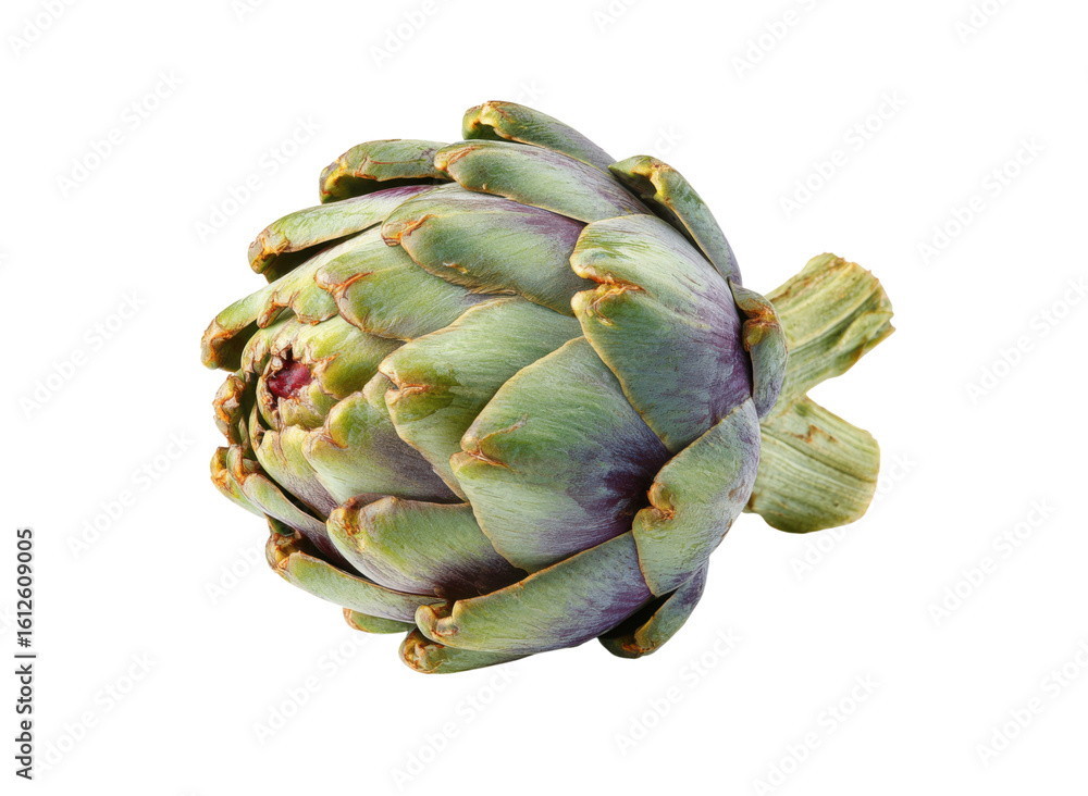 Obraz premium Green artichoke with purple hues isolated on black vegetable food, Isolated, Png Transparent Background
