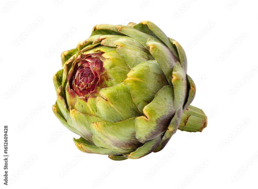 Fototapeta premium Fresh green artichoke with purple accents vegetable food, Isolated, Png Transparent Background