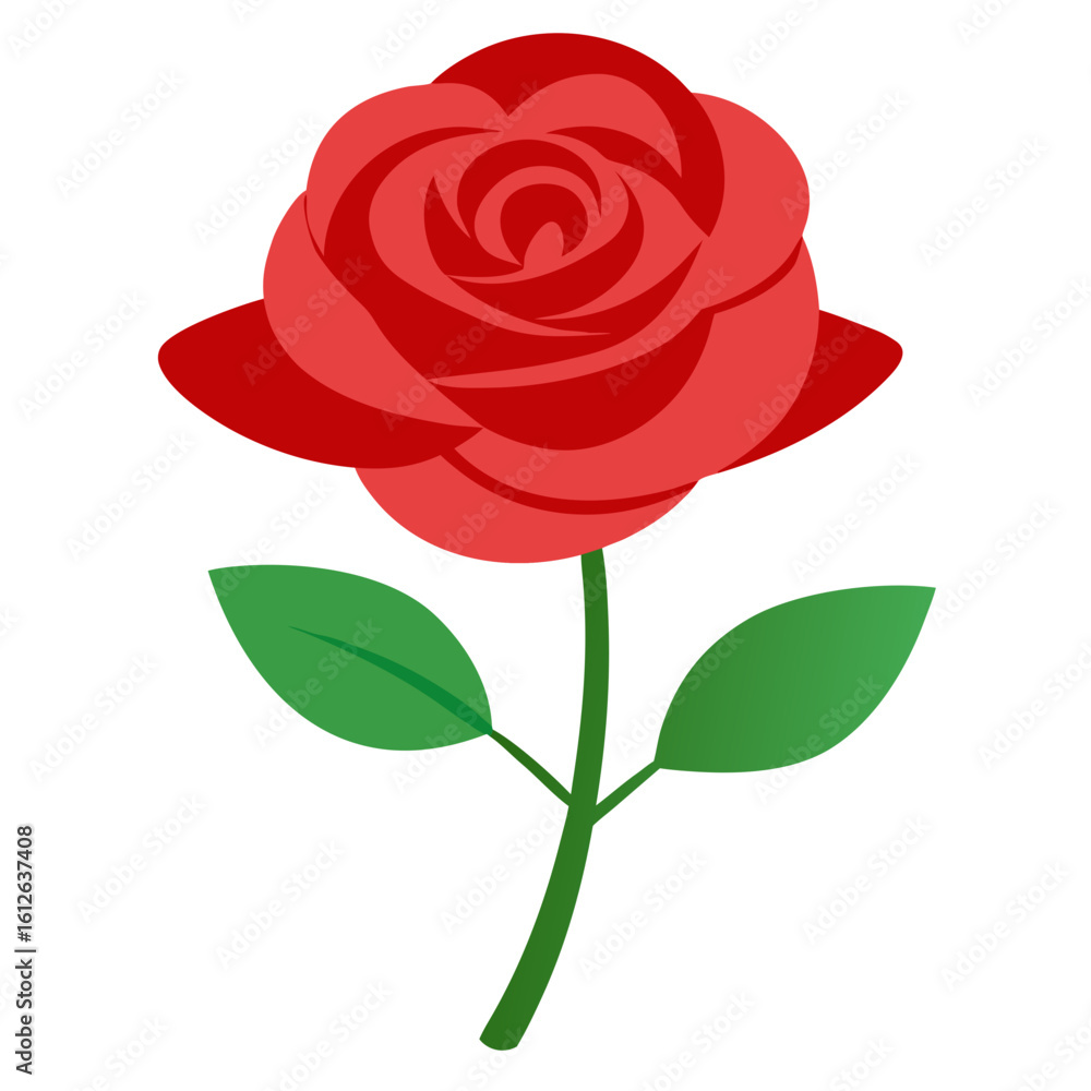 Obraz premium red rose isolated on white