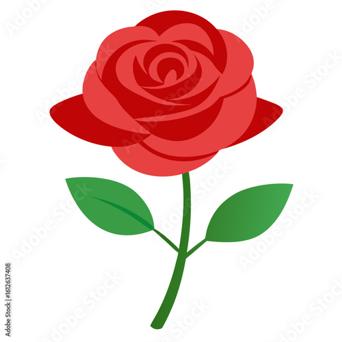 red rose isolated on white