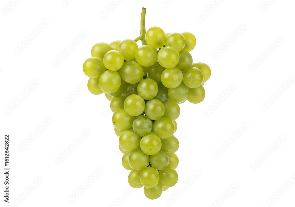 Ripe Green Grapes Bunch Isolated on fruit food Ripe Green Grapes Bunch Isolated on fruit food