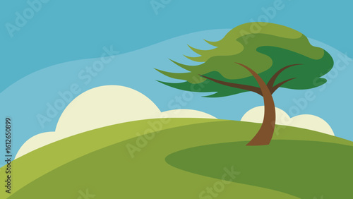 hilltop windy tree