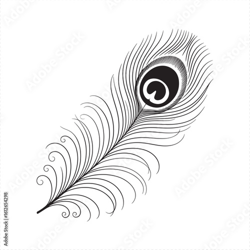 Black and white vector illustration of a peacock feather with swirls bird feather quill