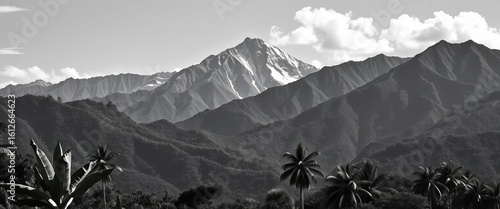 Monochrome mountain range backdrop with stylized tropical palm & banana trees, vector, illustration