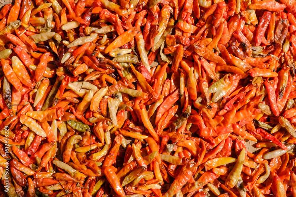 Fototapeta premium Harvested chilies are sun-dried using traditional methods before being processed into value-added products like chili powder, instant sambal, and chili extract to increase market appeal and income.