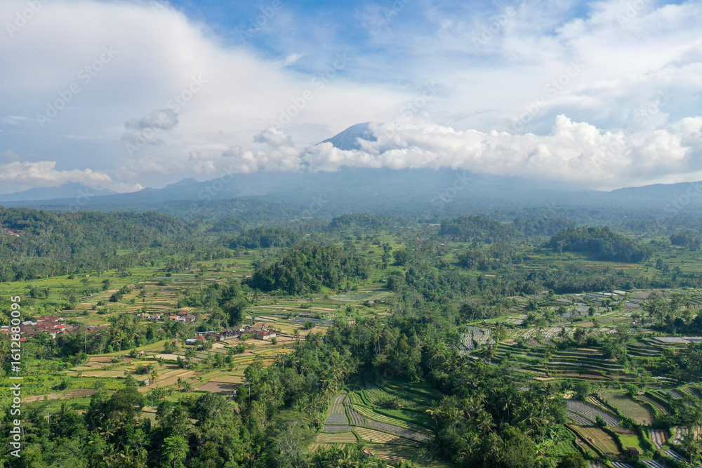 Fototapeta premium Sunlit Rice Terraces in a Mountain Valley with Cloudy Sky