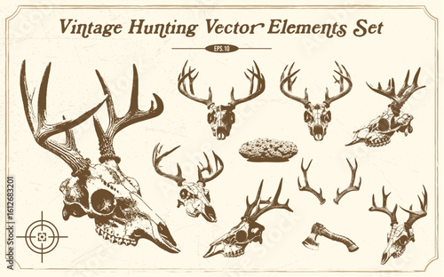 Vintage Hunting Trophies Detailed Deer Skulls and Antlers Illustration.
