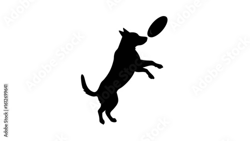 Silhouette of a dog jumping up to catch a frisbee in mid air against a white background image view