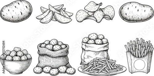 Delicious potato variety sketch from farm fresh to crispy fries