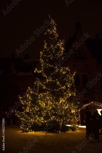 christmas tree at night