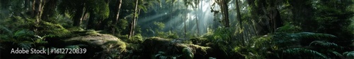 Nature action scene lush forest hdr panoramic view 360 degrees of vibrant landscape