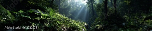 Serene jungle landscape lush forest hdr panoramic view 360 degrees tranquil environment