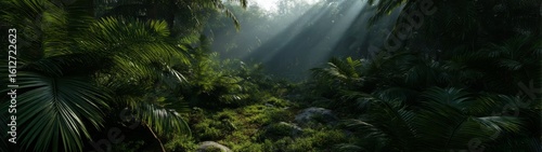 Serene jungle landscape lush forest hdr panoramic view 360 degrees nature environment
