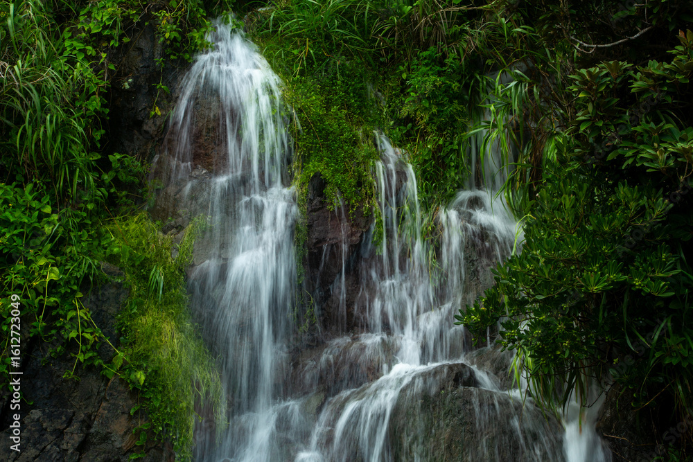 Obraz premium 奄美大島の夏の風景。糸をひく水の流れ。