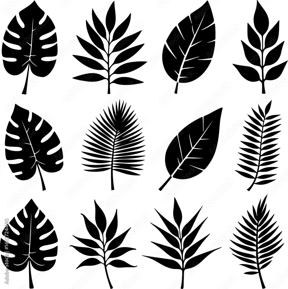 Fototapeta premium Tropical Leaf Silhouettes Collection vector bundle