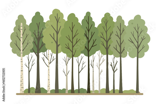 green tree isolated. vector