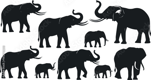 Create a kinds of deferent elephant vector art  silhouette with white background..
