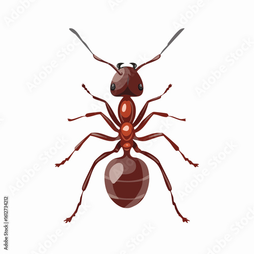 Detailed illustration of a brown ant, showcasing its anatomy and intricate details against white