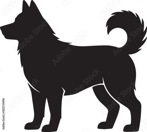 Majestic Silhouette of a Nordic Breed Dog Standing Proudly in Profile with Fluffy Tail Curled