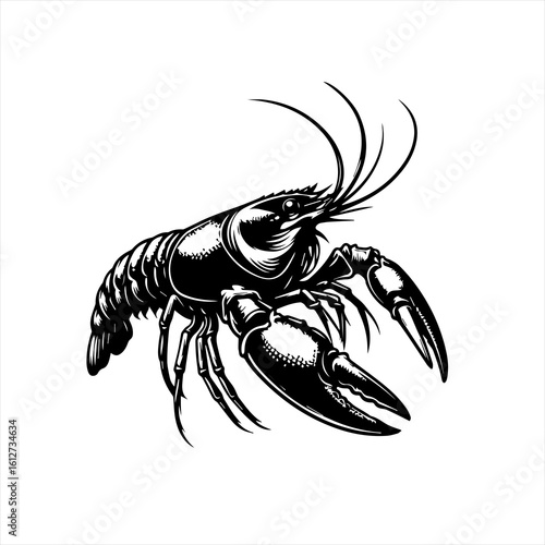 Alligator in circular design