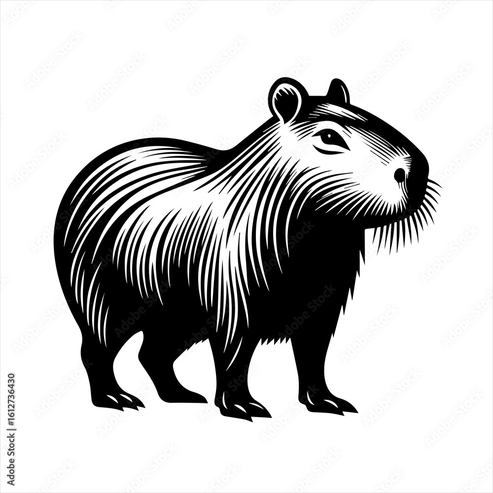 vector illustration of a cartoon zebra vector illustration of a cartoon zebra