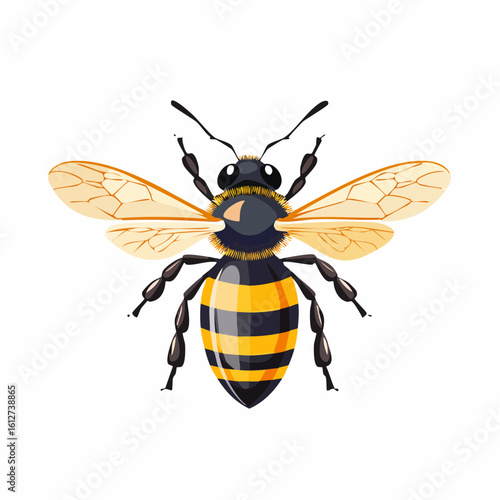 Detailed illustration of a bee with prominent wings and striped abdomen against a white backdrop