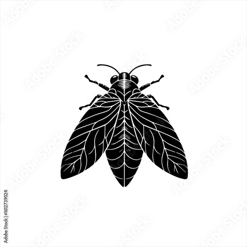 Black fly illustration isolated on white