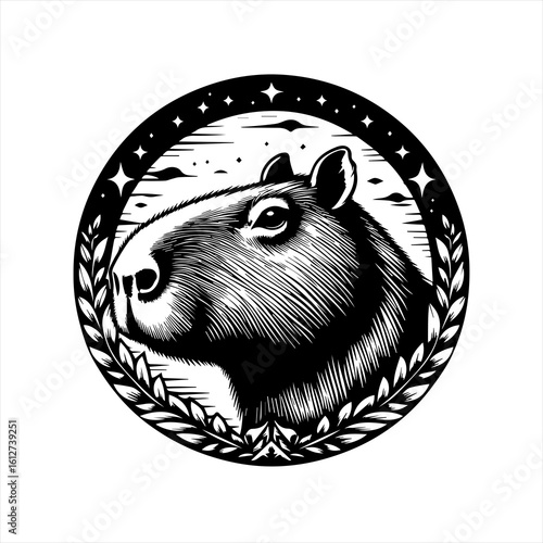 vector illustration of a cat