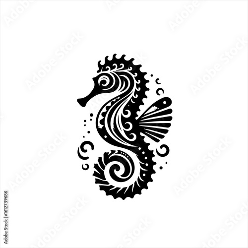 Curled seahorse illustration