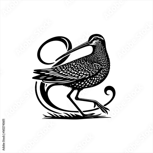 Bird illustration with decorative elements